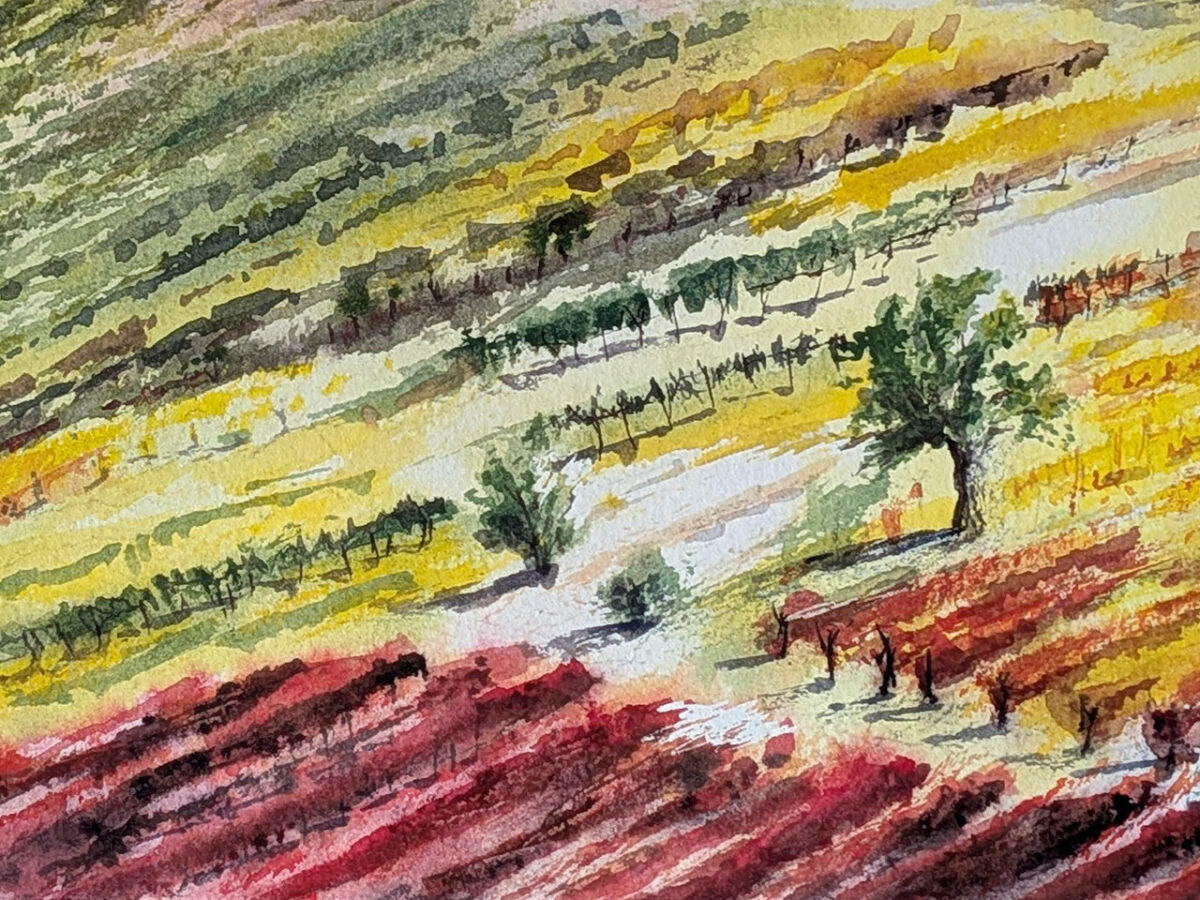 Watercolour of the Langhe vineyards in La Morra, 38×28 cm — selected work for Mini Castra 2026 in Slovenia